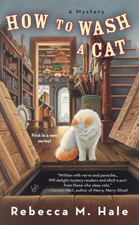 Book: How to Wash a Cat (Cats and Curios, Book 1)