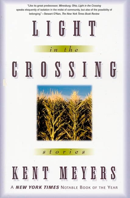 Book: Light in the Crossing Stories