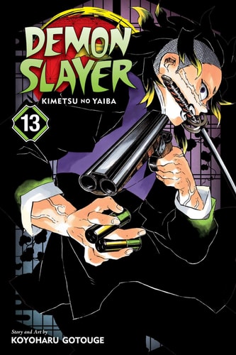 Book: Demon Slayer: Kimetsu no Yaiba, Vol. 13 (Manga)
