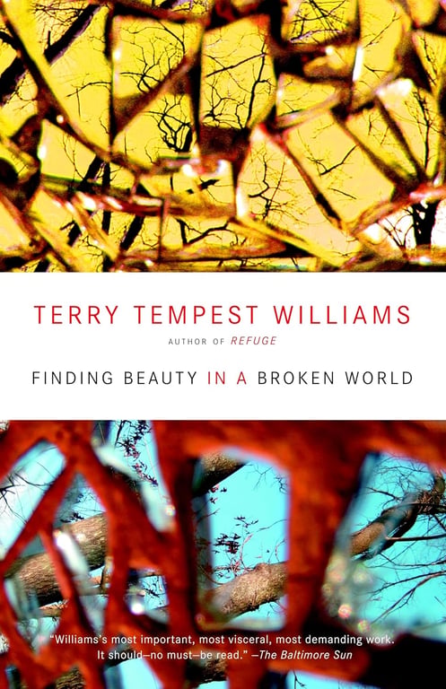 Book: Finding Beauty in a Broken World