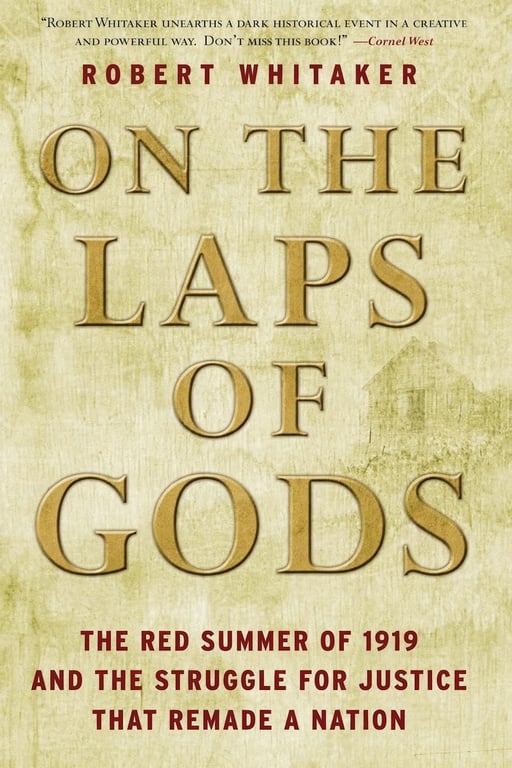 Book: On the Laps of Gods: The Red Summer of 1919 and the Struggle for Justice That Remade a Nation