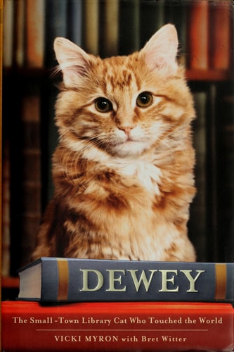 Book: Dewey: The Small-Town Library Cat Who Touched the World