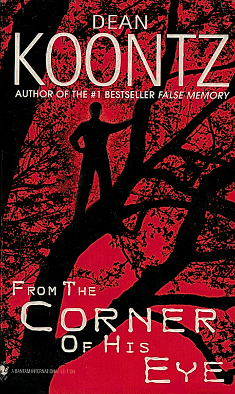 Book: From the Corner of His Eye