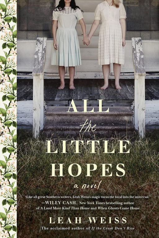 Book: All the Little Hopes: A Novel
