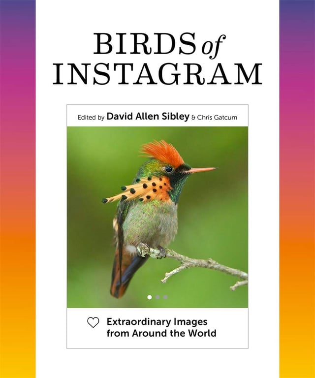 Book: Birds of Instagram: Extraordinary Images from Around the World