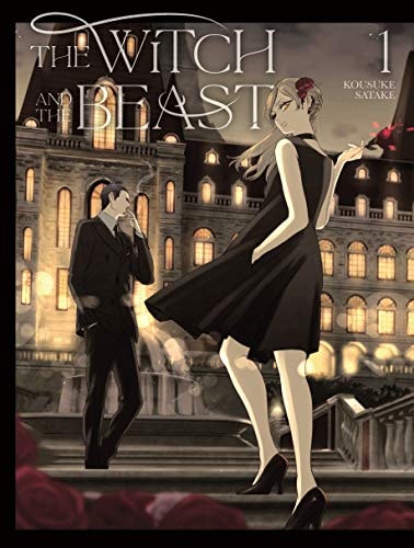 Book: The Witch and the Beast 1