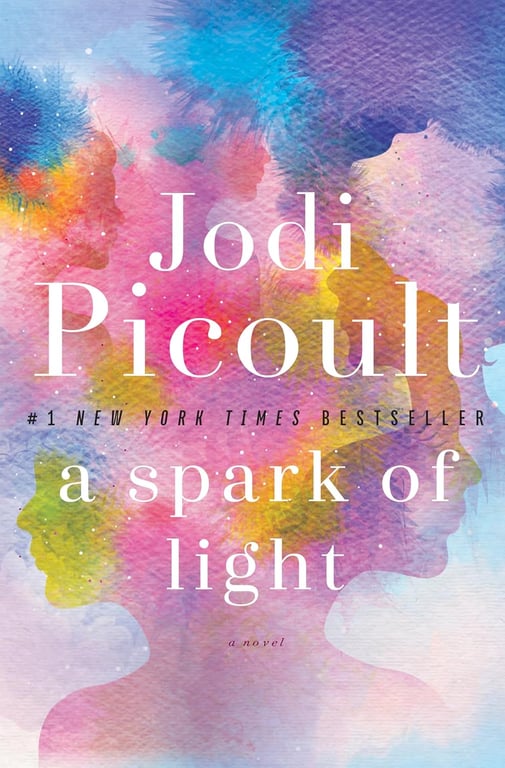 Book: A Spark of Light A Novel