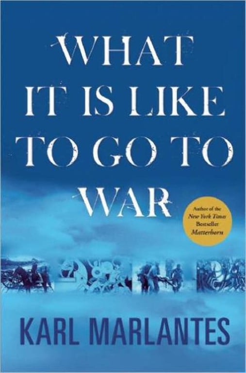Book: What it is Like to Go to War