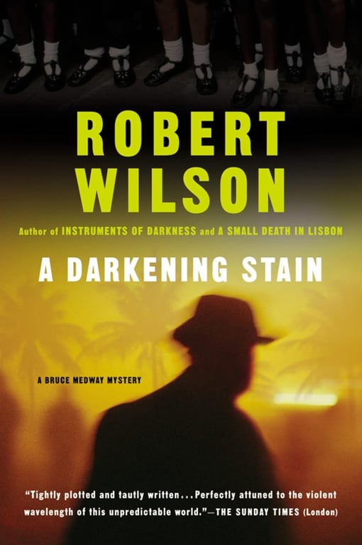 Book: A Darkening Stain
