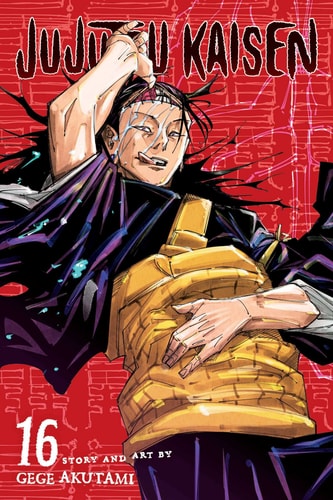 Book: Jujutsu Kaisen, Vol. 16