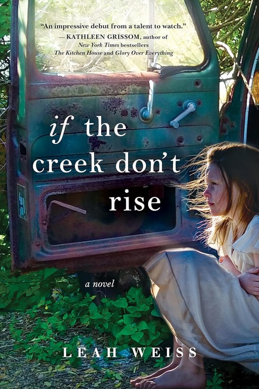 Book: If the Creek Don't Rise: A Novel
