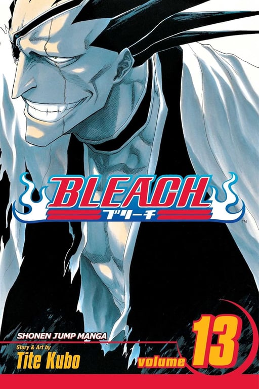 Book: Bleach, Vol. 13