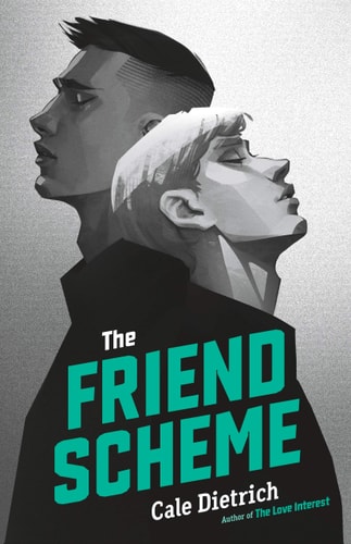 Book: The Friend Scheme